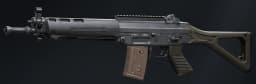 SG550 Assault Rifle
