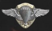 Airborne Badge of Bernard Boss
